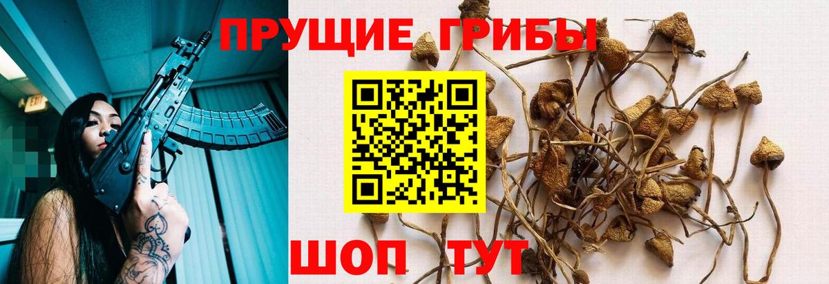 Псилоцибиновые грибы Magic Shrooms Ростов Великий